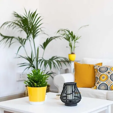 Casa Tradicional Canaria En Centro *