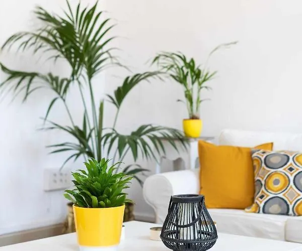 Casa Tradicional Canaria En Centro *