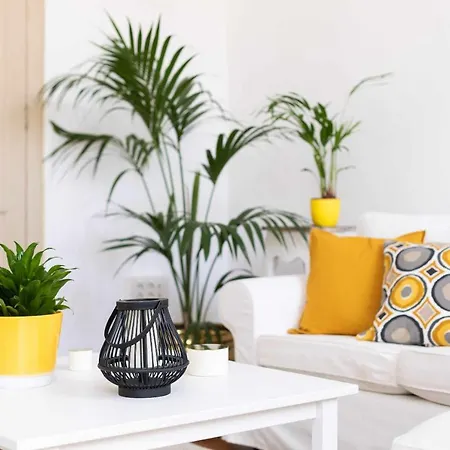 Casa Tradicional Canaria En Centro *